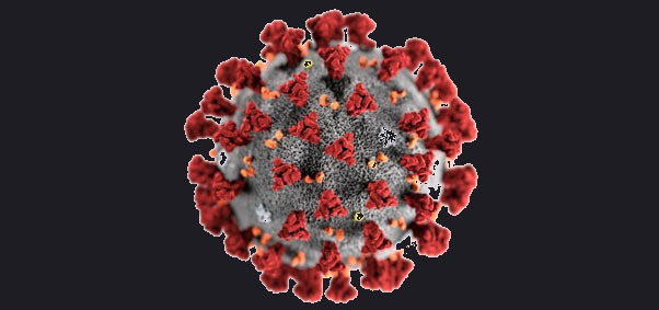 Coronavirus - Covid 19 - La situazione ad Angri - Bollettino del 18-08-2020