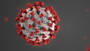 Coronavirus Covid-19 - La situazione ad Angri del 23 agosto 2020